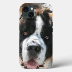 Saint Bernard Face iPhone 5 Barely There Case