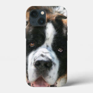 Saint Bernard Face iPhone 5 Vibe Case