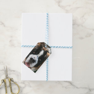 Saint Bernard Gift Tags