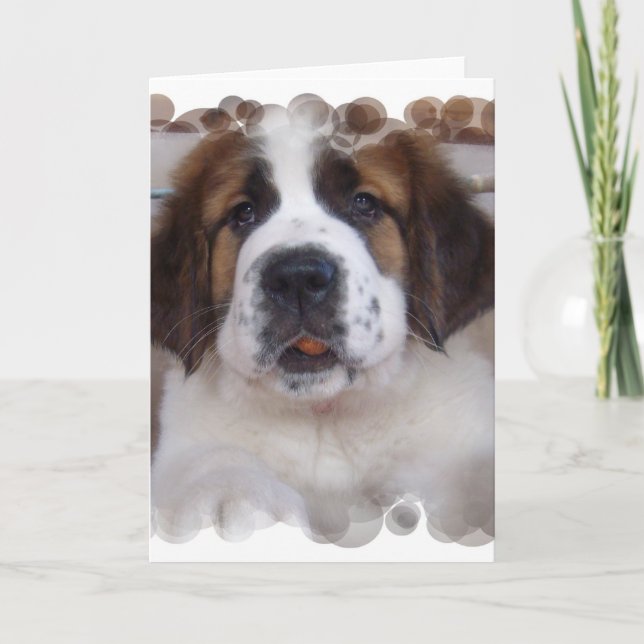 Saint Bernard Greeting Card (Front)
