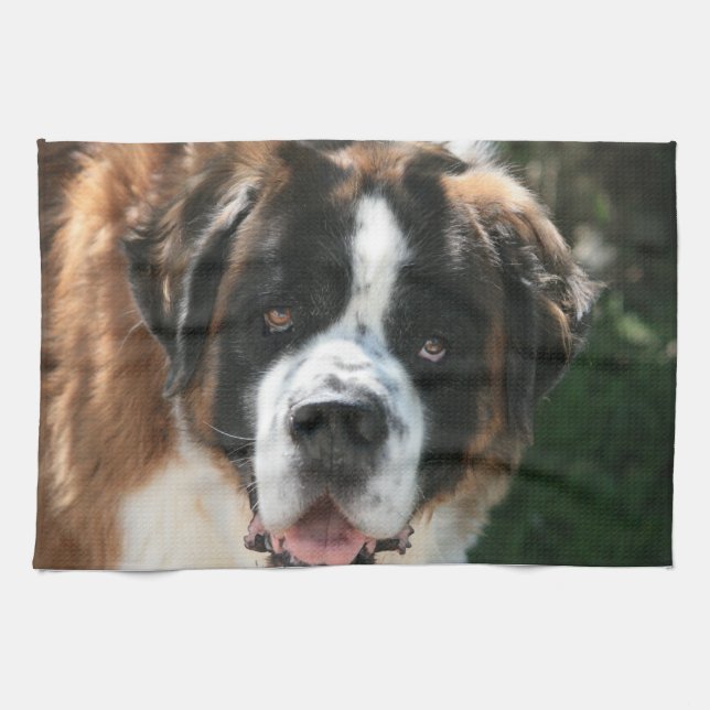 Saint Bernard Kitchen Towel (Horizontal)