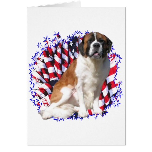 Saint Bernard Patriot (Front)