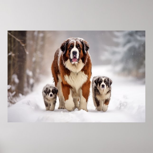 Saint Bernard Pet Dog Animal Family  Poster (Front)