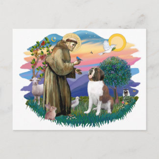 Saint Bernard Postcard
