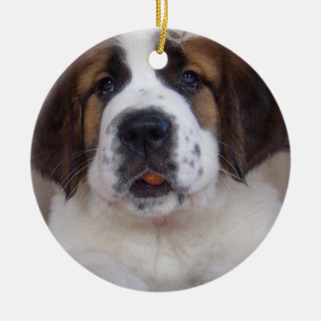 Saint Bernard Puppy Ornament (Front)