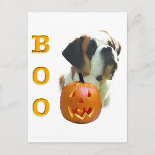 Saint Bernard (smooth) Boo Postcard