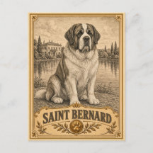 Saint Bernard, Vintage Heritage Dog