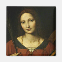 Saint Catherine of Alexandria (Bernardino Luini)