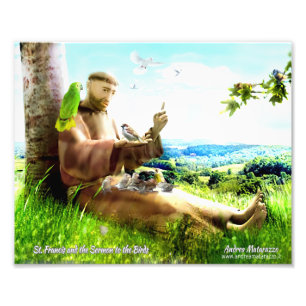 Saint Francis and the sermon-preaches to the birds Photo Print