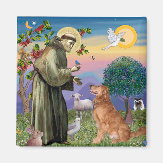 Saint Francis - Golden Retriever (#1) Magnet (Front)