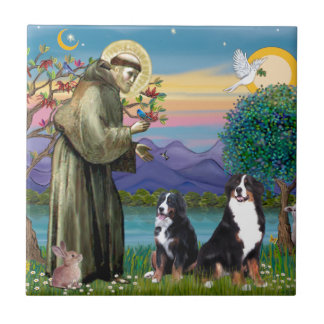Saint Francis - Two Bernese Mountain Dogs Ceramic Tile
