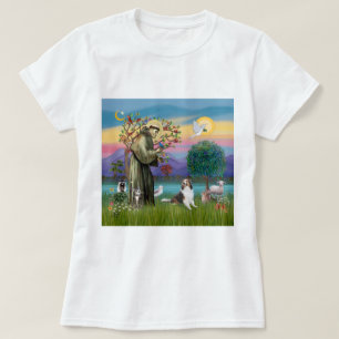 Saint Francis with Animals - custumizable T-Shirt