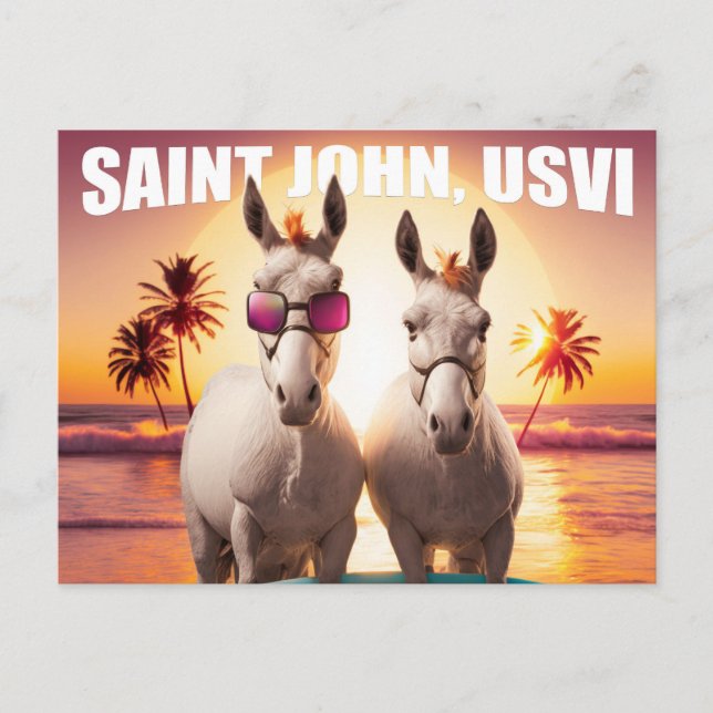 Saint John USVI Donkeys on the Beach Funny Unique Postcard (Front)