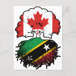 Saint Kitts Kittitian Canadian Canada Tree Roots Postcard