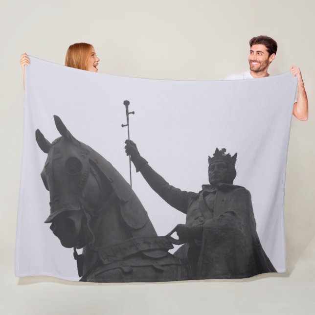 SAINT LOUIS FLEECE BLANKET (In Situ)