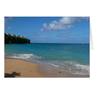 Saint Lucia Beach Tropical Vacation Landscape