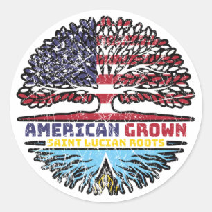 Saint Lucia Saint Lucian American USA Tree Roots Classic Round Sticker