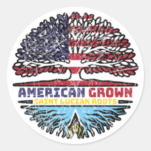 Saint Lucia Saint Lucian American USA Tree Roots Classic Round Sticker