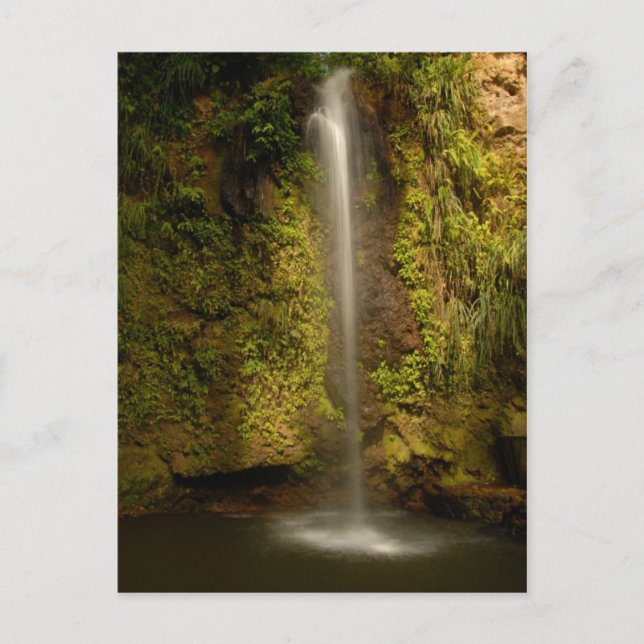 Saint Lucia waterfall Postcard (Front)