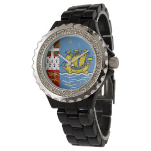 Saint Pierre and Miquelon flag Watch