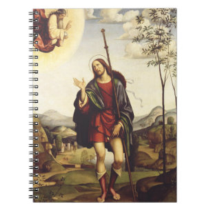 Saint Roch by Francesco Francia Notebook
