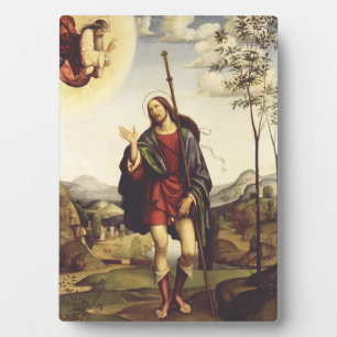 Saint Roch by Francesco Francia Plaque