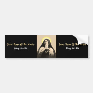 SAINT TERESA OF THE ANDES BUMPER STICKER