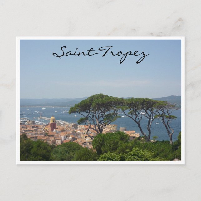 saint tropez tree view postcard (Front)
