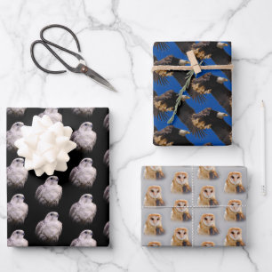 Saker Falcon / Bald Eagle / Barn Owl Wrapping Paper Sheet