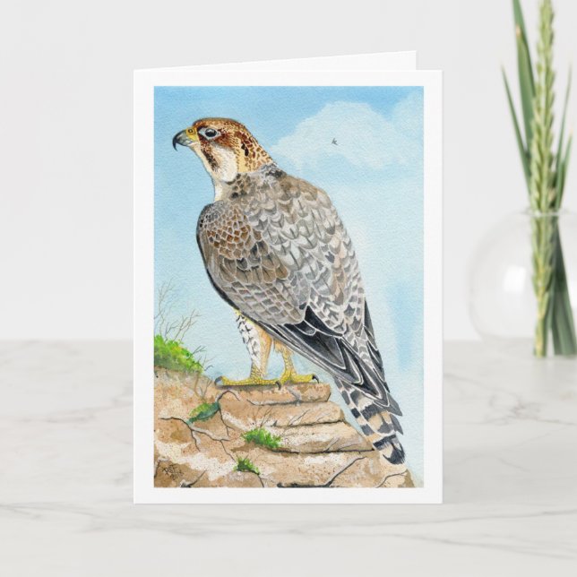Saker Peregrine Falcon Birthday Card (Front)