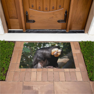 Saki monkey doormat