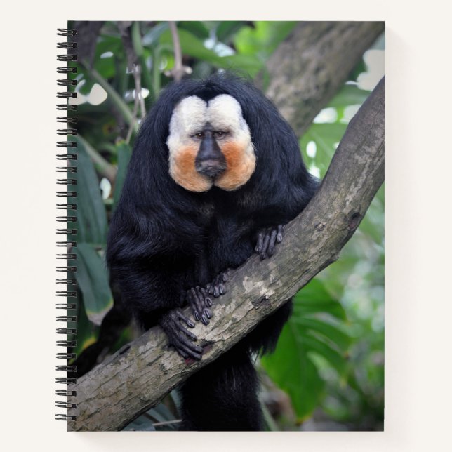 Saki  notebook (Front)