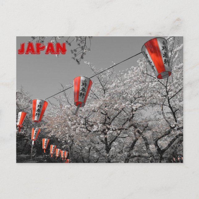 Sakura 2014 Postcard (Front)