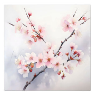 Sakura Blooming Branch Photo Print