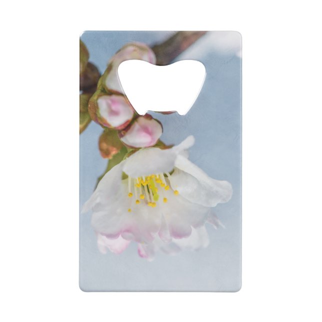 Sakura Blossom (Back)