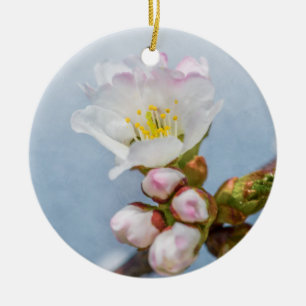 Sakura Blossom Ceramic Tree Decoration