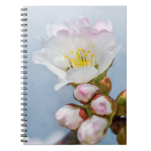 Sakura Blossom Notebook