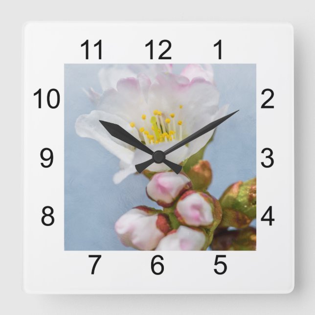Sakura Blossom Square Wall Clock (Front)
