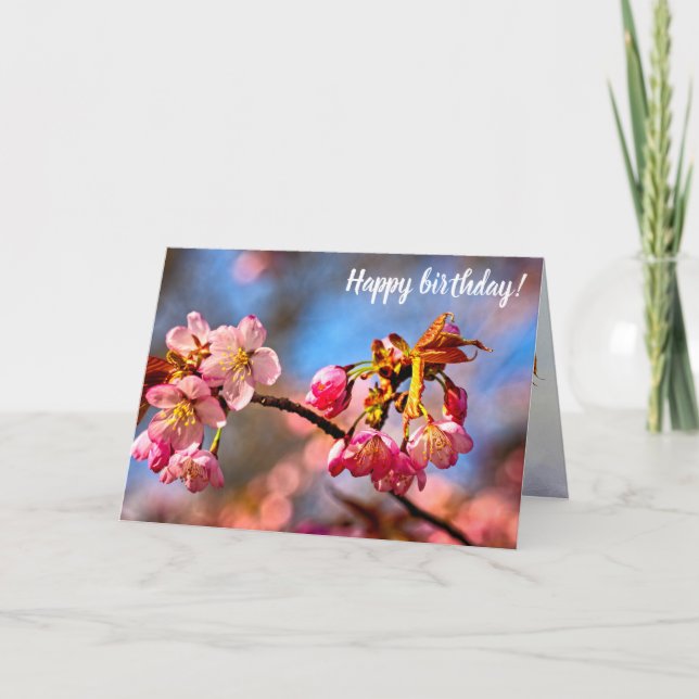 Sakura Buds Are Ready To Open And Bloom In Spring Card (Front)