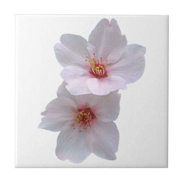 Sakura Ceramic Tile (Front)