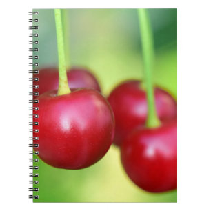 Sakura Cherries Delicious Vegan Vegetarian Fruits Notebook