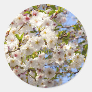 Sakura Cherry Blossom Japan Kyoto Classic Round Sticker