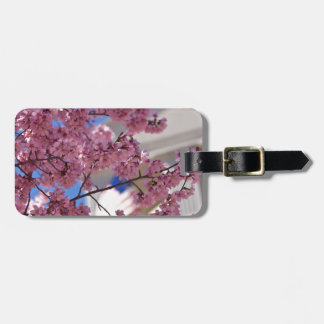 Sakura Cherry Blossoms Americana Luggage Tag