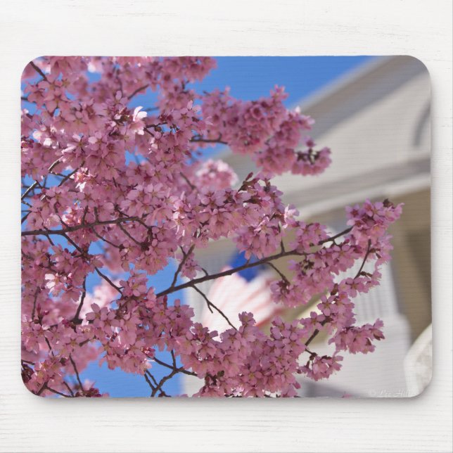 Sakura Cherry Blossoms Americana Mouse Pad (Front)