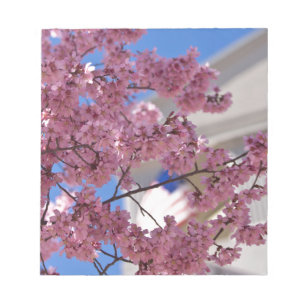 Sakura Cherry Blossoms Americana Notepad