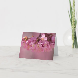Sakura Cherry Blossoms Delicate Pink Bouquet Card