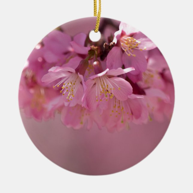 Sakura Cherry Blossoms Delicate Pink Bouquet Ceramic Tree Decoration (Front)