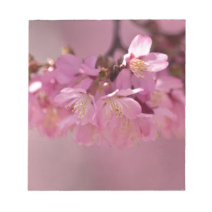 Sakura Cherry Blossoms Delicate Pink Bouquet Notepad