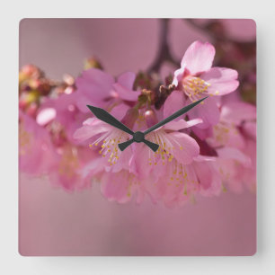 Sakura Cherry Blossoms Delicate Pink Bouquet Square Wall Clock