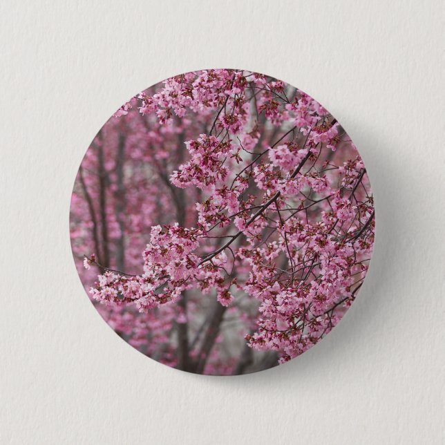 Sakura Cherry Blossoms Flowing Pink 6 Cm Round Badge (Front)